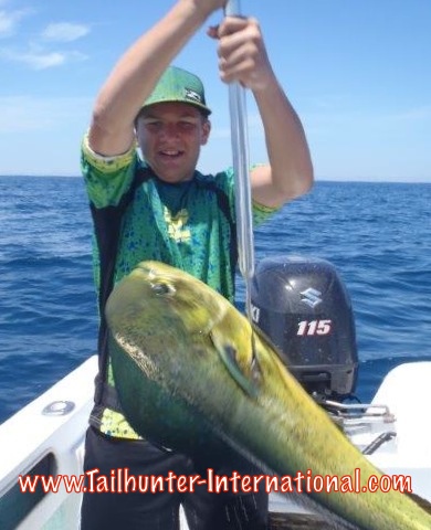 dorado andrew harvey tags 8-15