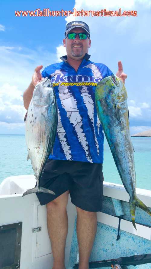 dorado bonito wade tags 7-15