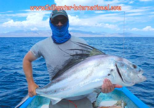 Dustin tags rooster 8-15