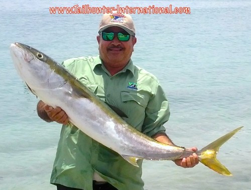 Esteban jurel tags 8-15