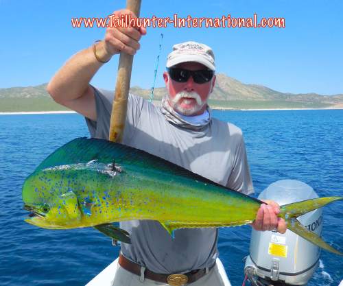 Ken Chaplin dorado tags 8-15