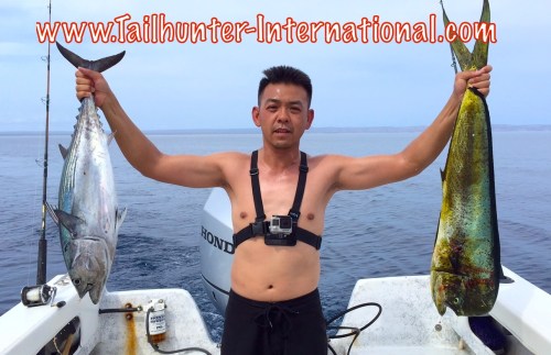 Ken Chau dorado 8-15