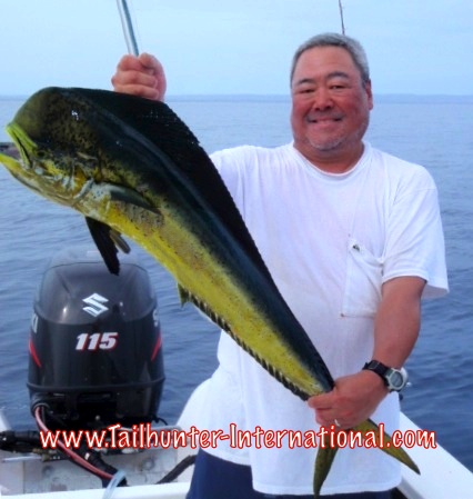 Paul dorado tags 8-15