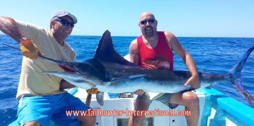 PITTS marlin 8-15 tags