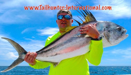 rooster Dave Schneider 8-15 tags