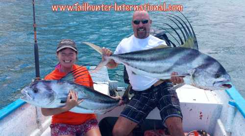 rooster double 8-15 Pitts tags