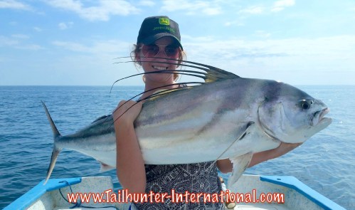 rooster Haley Marino 8-15 tags