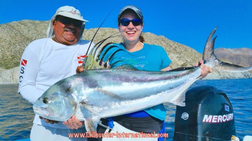 Taylor Marino 8-15 tags