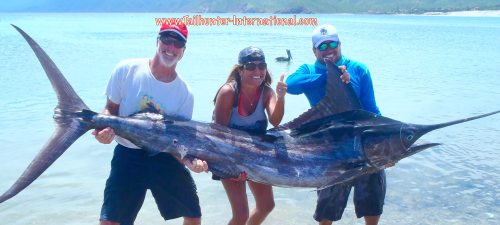 Angela marlin tags 9-15