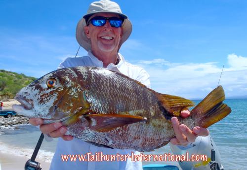 Carl Lange pargo mulato tags 9-15