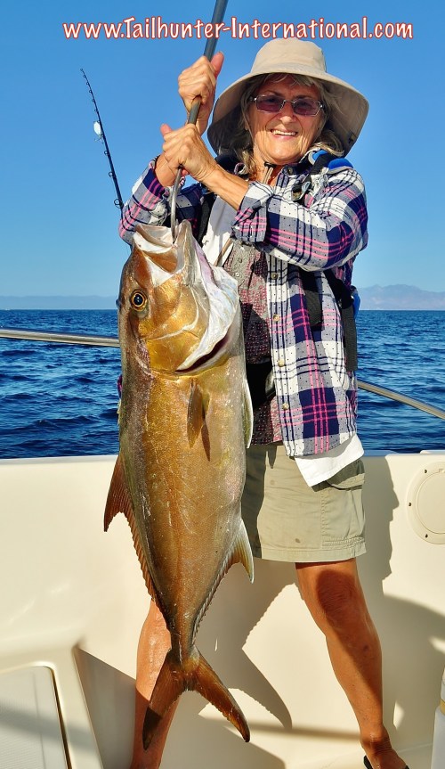 Donna tags amberjack 9-15
