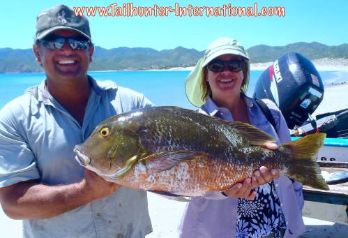 Kathy Van de Venter armando tags 9-15 pargo