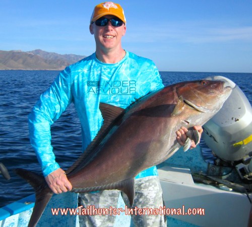 Leif amberjack tags 9-15