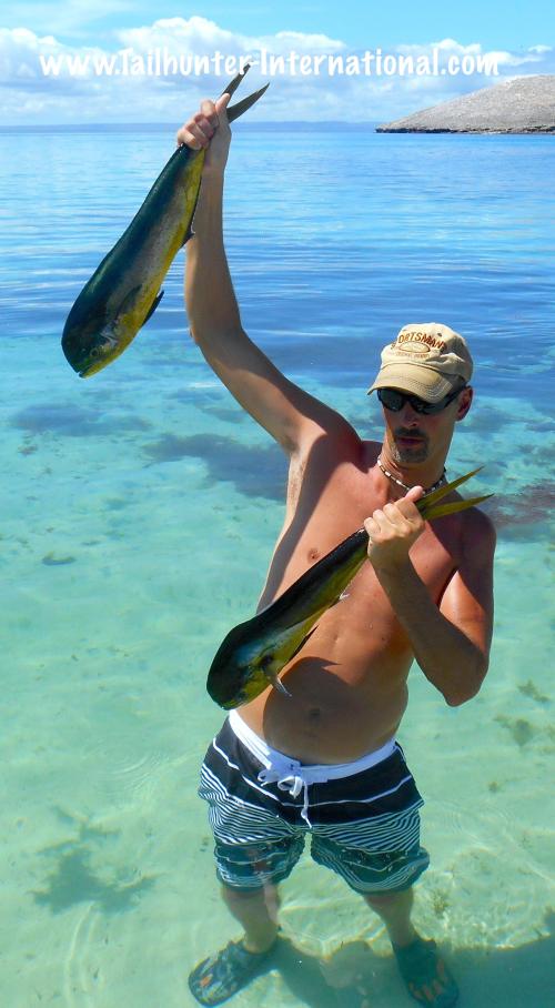 Rick Connell tags dorado 9-15