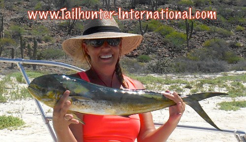 Shawna Blackburn tags dorado 9-15