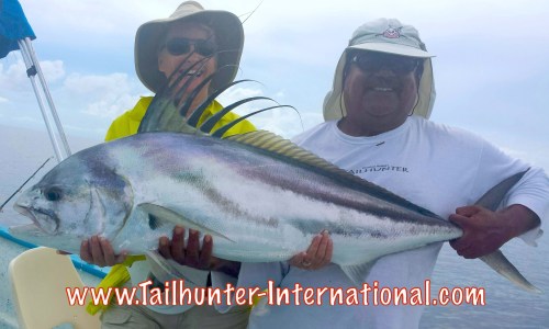 STAUFFER rooster 9-15 tags