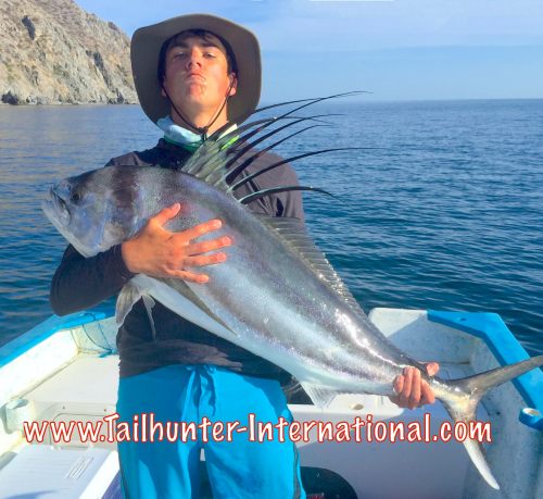 Wiley rooster tags 9-15