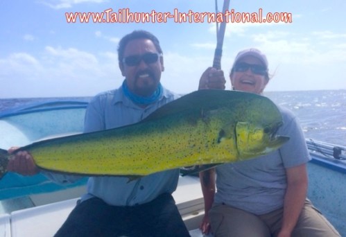 BArbara choate dorado 10-15 tags