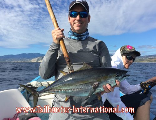 Gary Pilkington tags 9-15 tuna