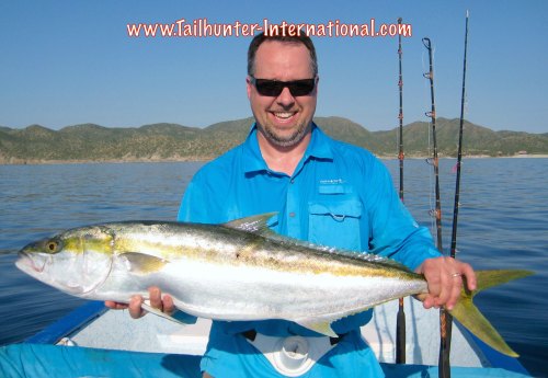 Jorge Yellowtail Dan Corcoran tags 9-15