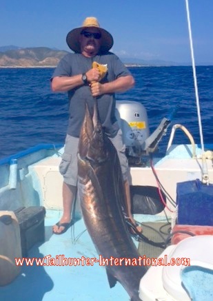 Ken campbell sailfish tags 9-15