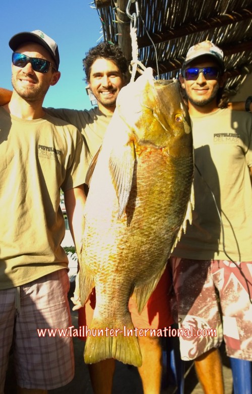 pargo patrick puhlmann Leonardo Tapia Nick Jones tags 10-15