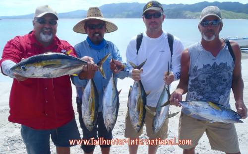 Tuna Rios tags 10-15