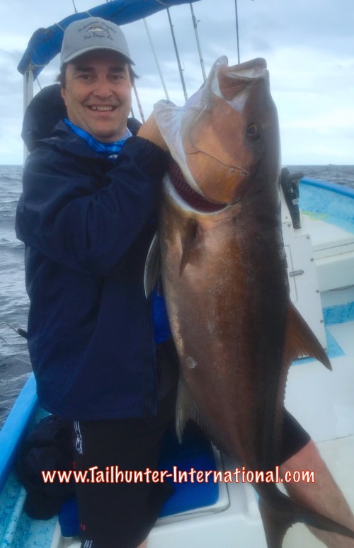 amberjack ken errair tags 11-15