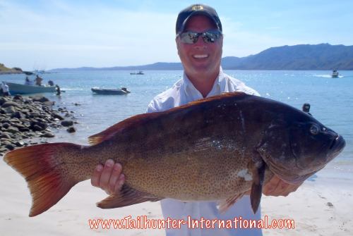 Cabrilla Michael Nuttbrock tags 11-15