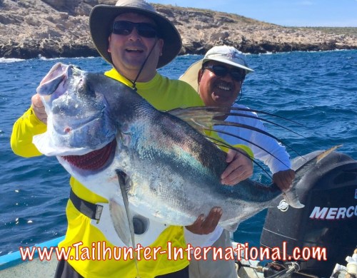 danny mcphee tags rooster victor 11-15