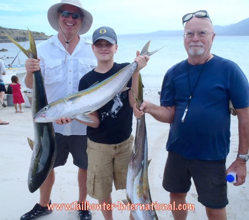 Nuttbrock tags yellowtail 11-15