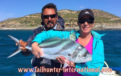 Stacey rooster tags 11-15