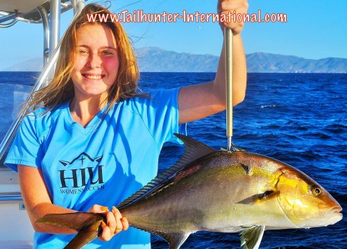 Taylor amberjack tags 11-15