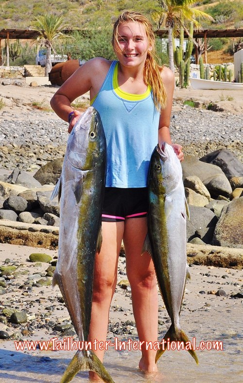 yellowtail taylor murphey 11-15