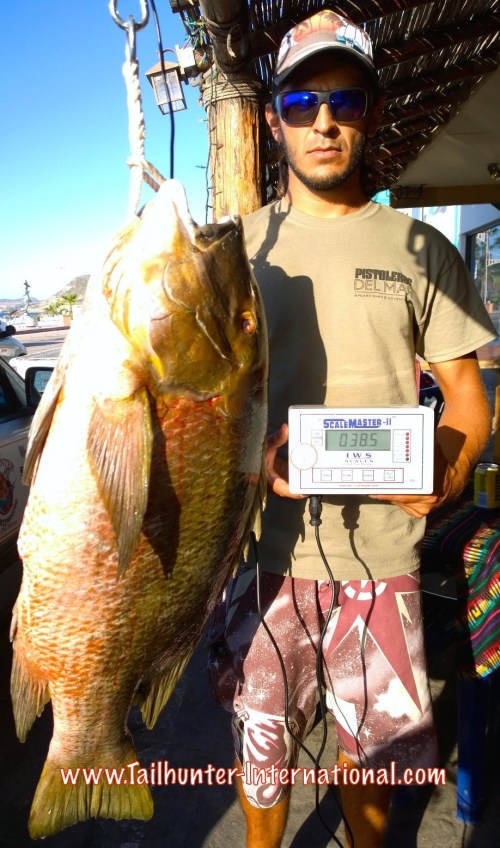 Nick Jones tags world record pargo scale tags 10-15