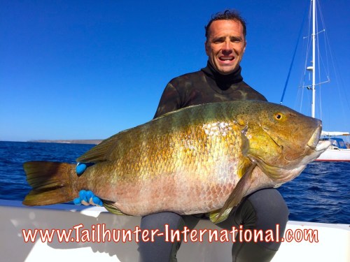 world record pargo Matt Deischel 10-15 tags