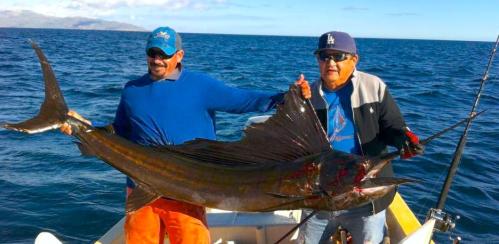 billfish pancho