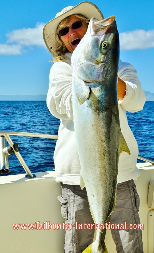 First yellowtail of the season for our amiga, Donna Thompson who was out with Captain Hugo on their boat from La Ventana