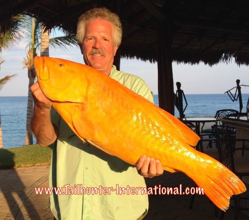 Gary Wagner golden grouper 1-16 tags