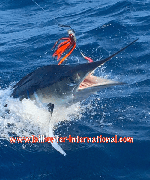 Marlin release 1-16 tags