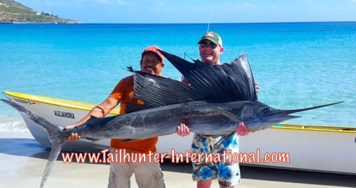 sailfish edit 1-16 tags