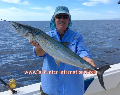 sierra wagner 1-16 tags