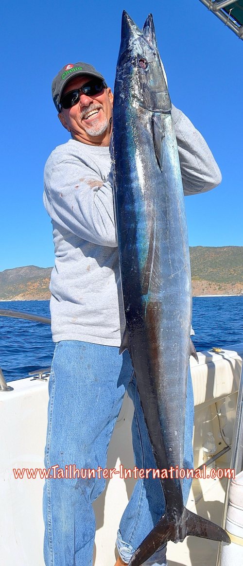 wahoo roger tags 1-16