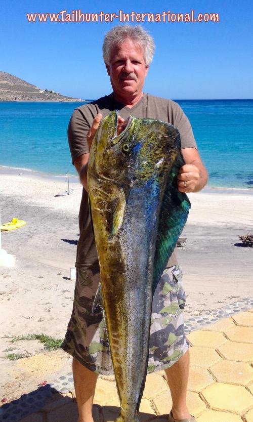 dorado Gary Wagner tags 2-16