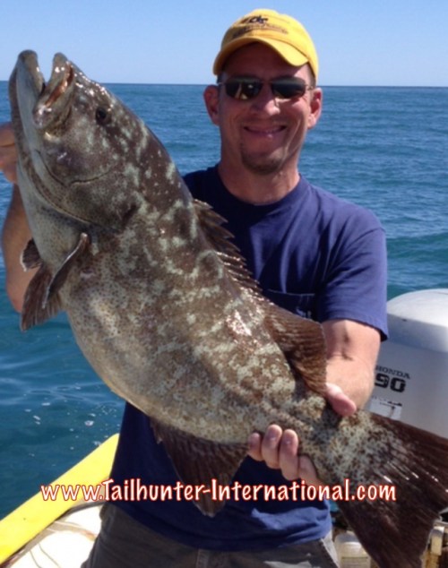 Tony Vitolo WY tags cabrilla 2-16