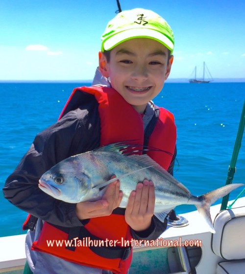 Kogen rooster 1 tags 3-16