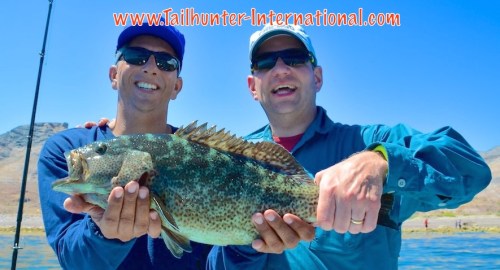 Miles Brown cabrilla tags 3-16