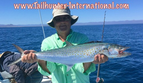 Ridge Larsen sierra tags 3-16