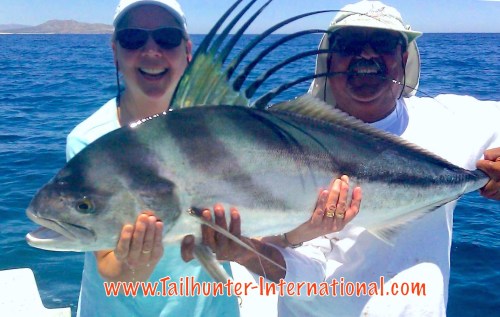 Ann Armstrong 4-16 rooster tags