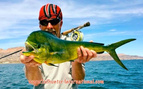 dorado jeff pralle tags 4-16